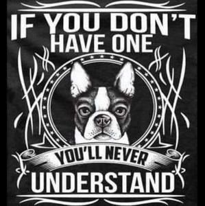 Meet your Posher, Freddy